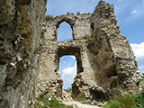 Vitnyvr